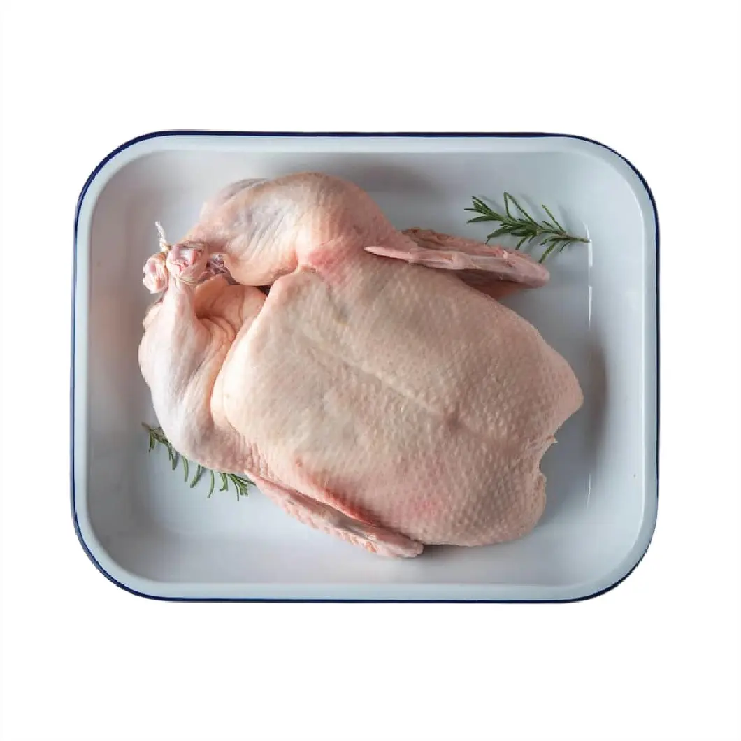 Beijing Duck (হাঁস)