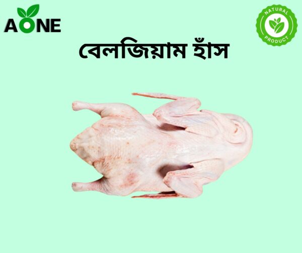 বেলজিয়াম হাঁস